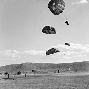 Airborne troops of 'C' Company, 4th Battalion, 2nd Parachute Brigade descending on Megara in Greece, October 1944. NA19340.jpg
