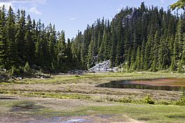 Alturas Lake and Meadow in Necklace Valley, Mt Baker Snoqualmie National Forest (32111921335).jpg