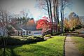 Annandale - Virginia - 2015