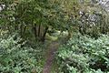 Arlesey Old Moat 5
