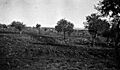 Australian light horse camp Tripoli (AWM image J01020)