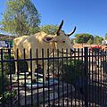 Banana Bullock