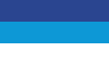 Flag of Pérez Zeledón