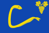 Flag of Concello de Arbo