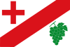 Flag of Fuente Encalada