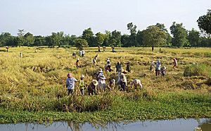 Battambang Provinz 01