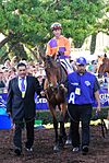 Beholder preparing for the Distaff.jpg