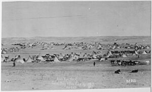Bird's Eye View of Sioux Camp at Pine Ridge, South Dakota - NARA - 530802