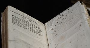 Bookworm damage on Errata page