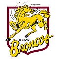 Brisbane Broncos Logo 1988
