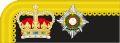 British-Army-Col(1867-1880)-Collar Insignia