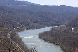 Brooks viewed from the Brooks Falls Overlook in 2022