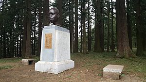 Bust of York, Mount Tabor, 2021 1