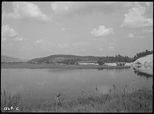 Caryville Lake and Bridge - NARA - 280156