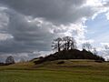 Castle Hill, Fenny Castle - geograph.org.uk - 83383