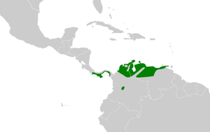 Chiroxiphia lanceolata map.svg