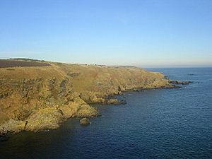 Cliffs at Cammachmore Bay - geograph.org.uk - 115417