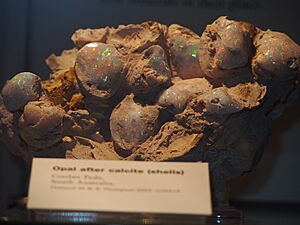 Coober Pedy opal at the SAM 1