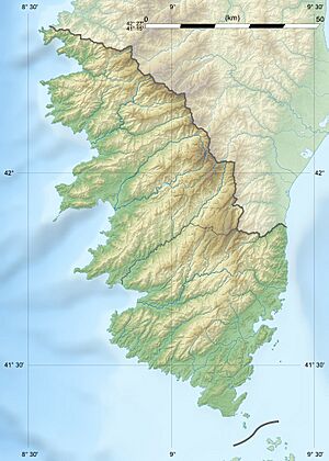 Corse-du-Sud department relief location map