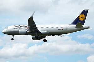 D-AIUD A320 Lufthansa "Fanhansa" (14600955838)