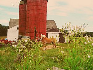 Dame Farm, Snake Den Park