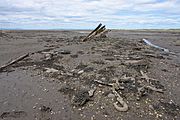 The remains of a ship, it's ribs remain sticking out of the sand