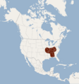 Distribution of Myotis grisescens