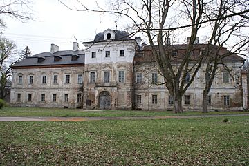 Dolní Lukavice castle 01