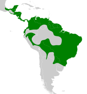 Elaenia flavogaster map.svg