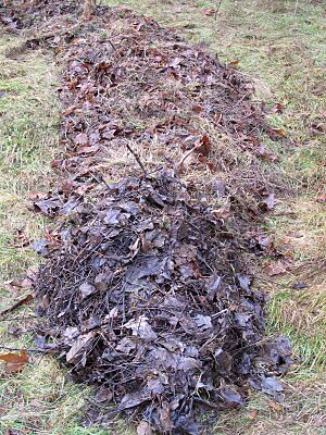 Compost Facts for Kids