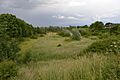 Fenn Washland 13