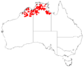 Ficus coronulata Distribution