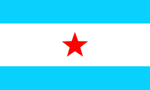 Flag of Nicaragua under William Walker (1856-1857)