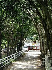 Gaby's restaurant in Yauco, Puerto Rico