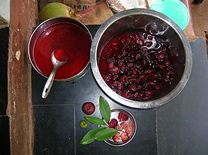 Garcinia indica syrup making from rinds