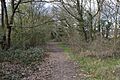 Garston Park Local Nature Reserve 9