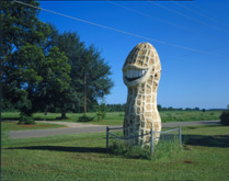 Giant sized smiling peanut, looking north - Smiling Peanut, South Side of Highway 49, Plains, Sumter County, GA HABS GA,131-PLAIN.V,2-1 (CT)
