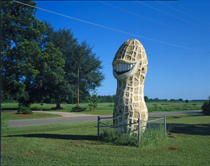 Giant sized smiling peanut, looking north - Smiling Peanut, South Side of Highway 49, Plains, Sumter County, GA HABS GA,131-PLAIN.V,2-1 (CT).tif