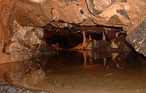 Gough's Cave, Alladdin's Cave