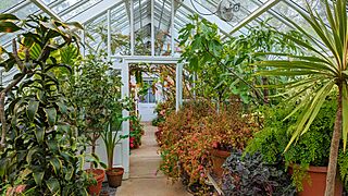 Greenhouse - Blithewold Mansion - Bristol, RI - PXL 20230504 170309247