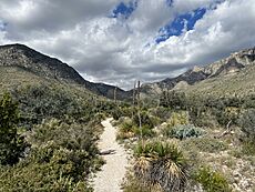 Guadalupe Peak Trail Texas October 2022