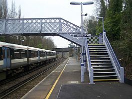 Halling railway station in 2008.jpg