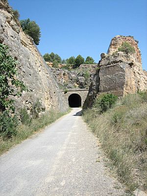 Hay un túnel al fondo del camino (217198156)