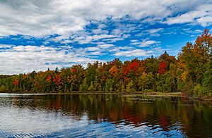 Henry Lake Fall Colors - Autumn at Ottawa National Forest, Upper Peninsula, Michigan (29936917032)