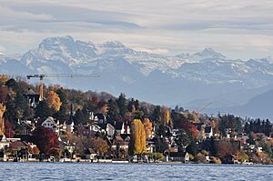 Küsnacht - Zürichsee - Zürichhorn 2010-11-04 14-44-20