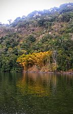 Las riberas del lago de la Represa Dos Bocas, Utuado, Puerto Rico... - panoramio