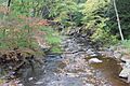 Little Catawissa Creek looking downstream