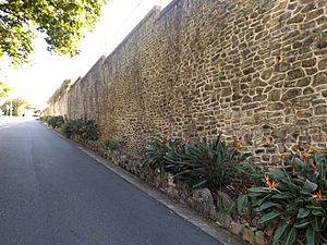 Manly Retaining Wall.jpg