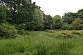 Mill Meadows, Billericay 6