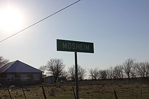 Mosheim, Texas